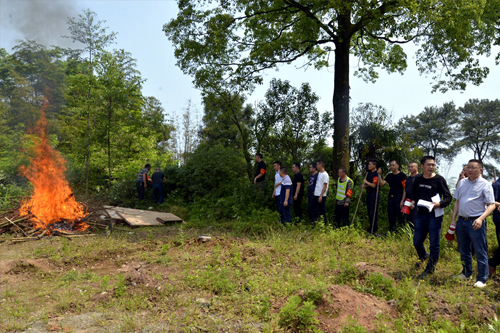 森林防火基本知識