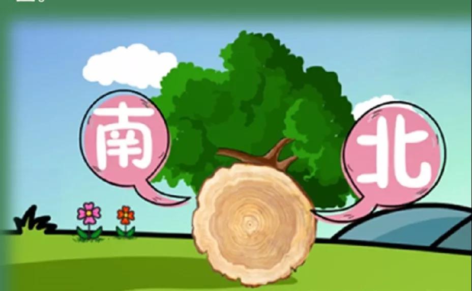 森林&ldquo;迷路&rdquo;脫險自救寶典